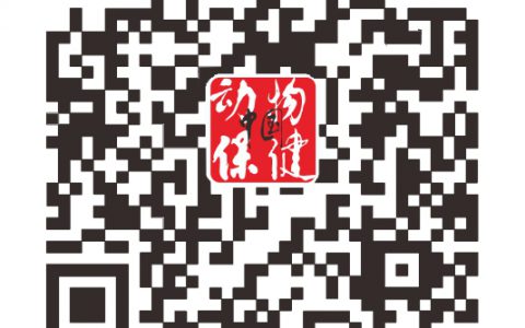 中国动保卓越团队人气榜