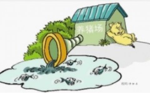 养猪场直排废水被罚5万