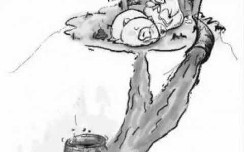 养殖户称环境治理最需要补贴资金