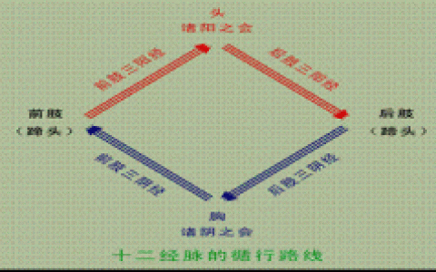 全国执业兽医资格考试《中兽医学》通关解读第一章 基础理论