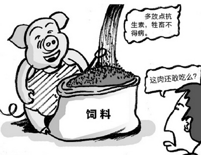 调研报告：中国猪工业饲料中抗生素添加成本最高