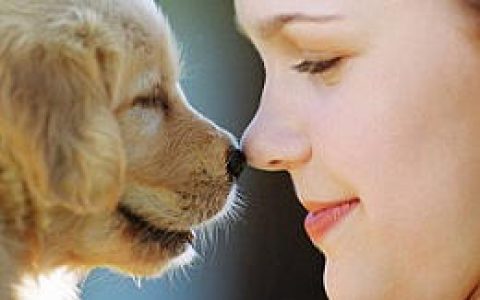 狗碰鼻子的意义——吃了吗您呐？