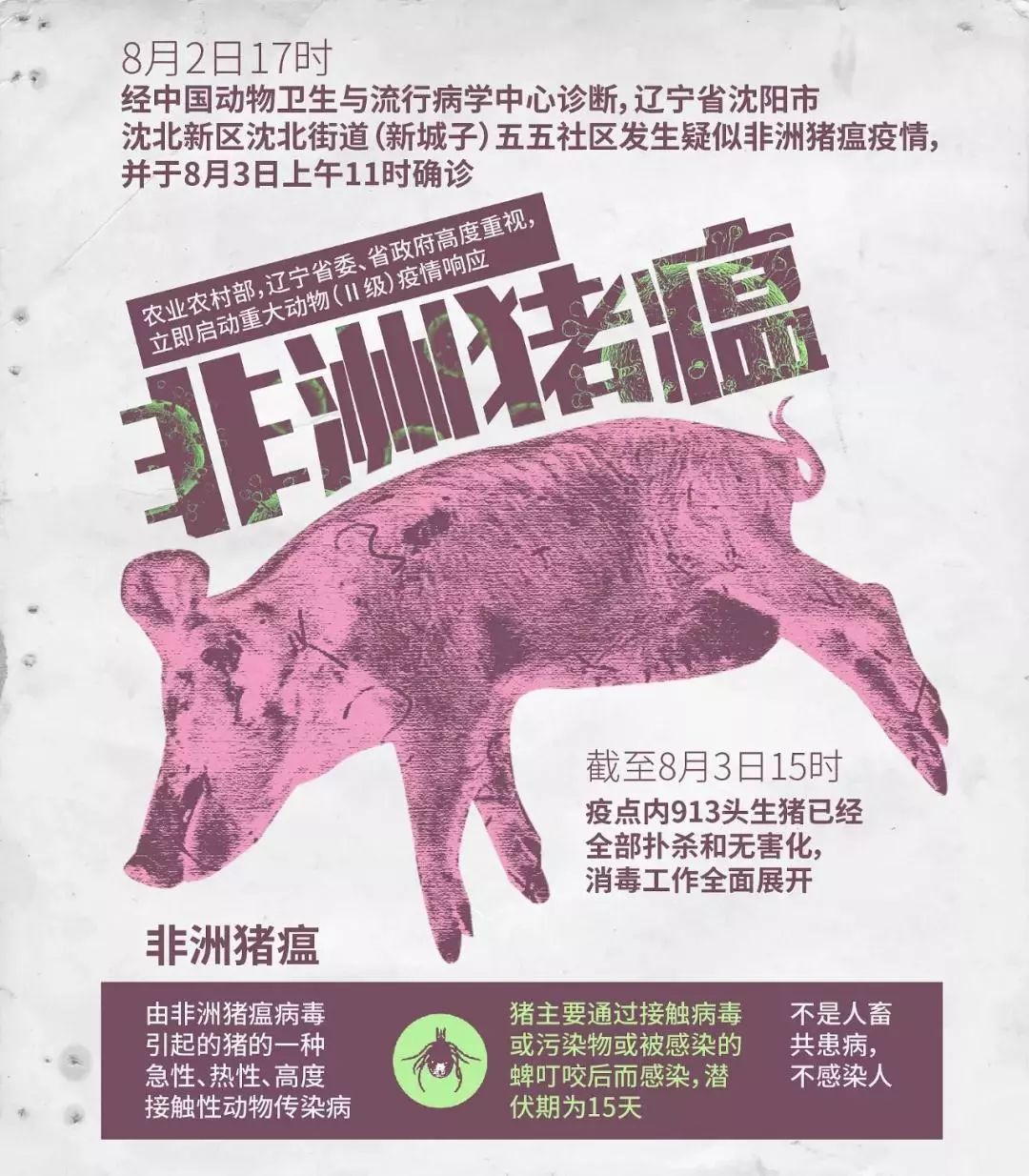 不传染人！北京房山发现非洲猪瘟，迄今已有20省发生疫情_中国动物疫病