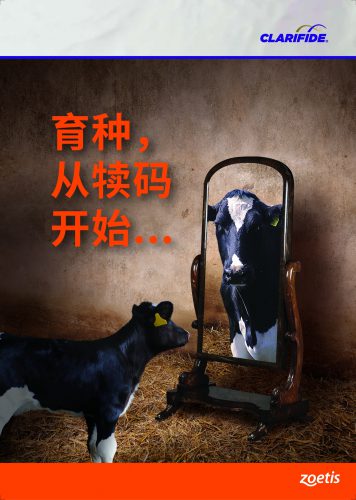 硕腾中国奶牛团队“犊码、乳畅DC和伺马般”三弹新品齐发