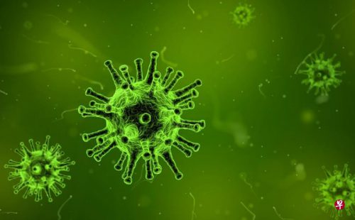 研究首次发现  H7N9可经飞沫传播