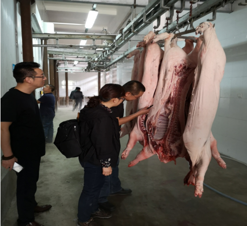 广西西藏开展生猪产品产销对接