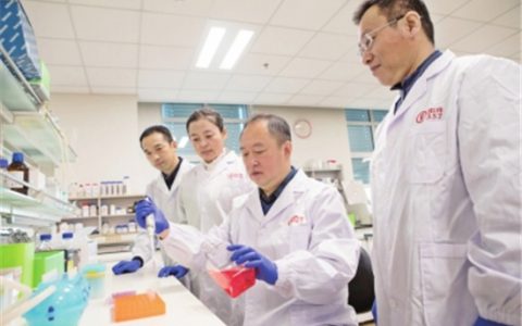 “一针三防”高效精准防控猪病