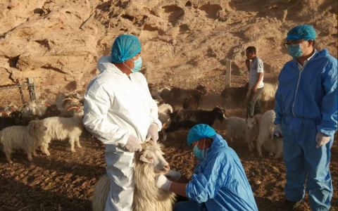 必须增加补贴，提高待遇！包头市固阳县防疫员调研情况报告