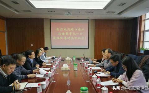 智慧蛋鸡产学研深度融合，扎实高效共建兽医新时代