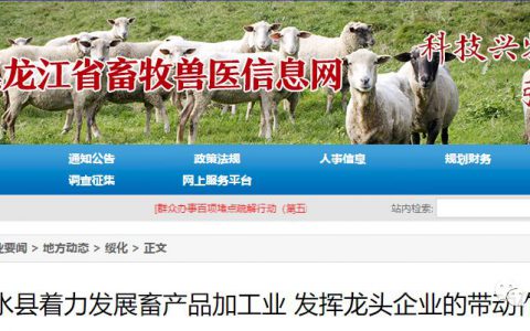 满血复活？明水县将重点发展亚欧牧业生猪屠宰项目，扩大生猪养殖量！