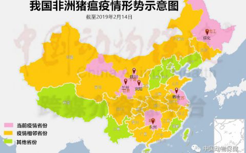 99起非洲猪瘟疫情已解除封锁，各地调运政策有差异（疫情信息汇总）