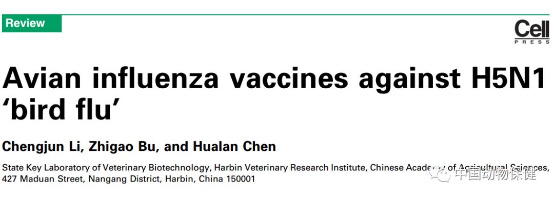 研究进展|陈化兰院士团队综述H5N1禽流感疫苗及评价