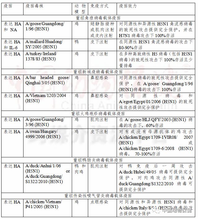 研究进展|陈化兰院士团队综述H5N1禽流感疫苗及评价