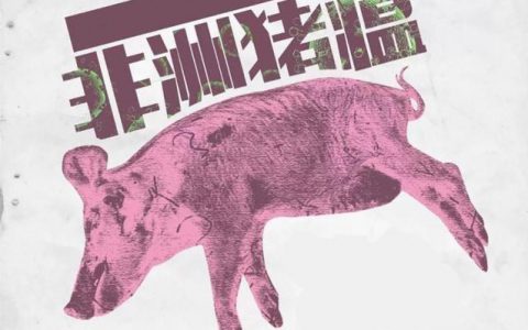 中国农业科学院兰州兽医研究获批国家非洲猪瘟区域实验室