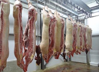 天津市农业农村委对接食品集团生猪生产和猪肉市场供应工作