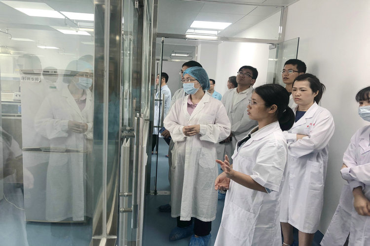 广西举办重点种猪场非洲猪瘟实验室检测培训班