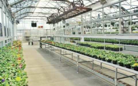 日本都市农业：高品质背后的高效率