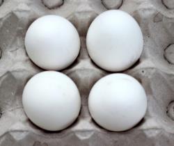 批发价直逼每公斤十元，鸡蛋期价站上近五年高点