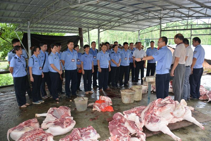 广西钦州市严厉打击生猪私屠滥宰违法行为