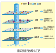 “减免减负 助力复产”——国药动保圆支康新品隆重上市