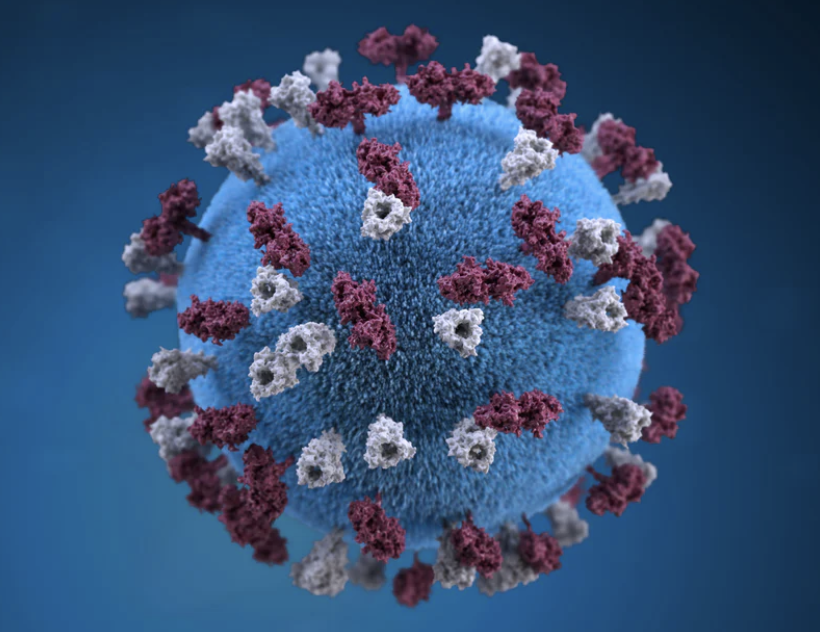 “新冠肺炎”给我们防控动物病毒病的启示