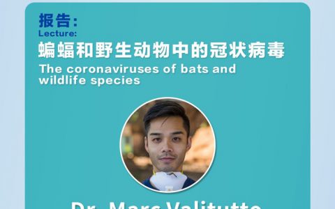 直播预告丨【6月22日-第四期】蝙蝠和野生动物中的冠状病毒