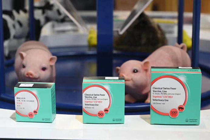 一针就现在 防控新起航——勃林格殷格翰茵温净®猪瘟活疫苗正式在华上市