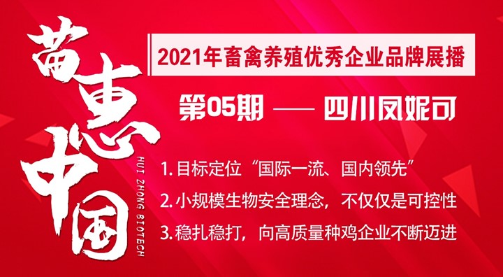 【苗惠中国】向“国际一流、国内领先”迈进——访四川凤妮可农业科技有限公司