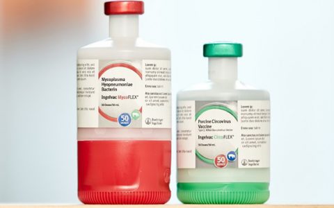 为人与动物的“同一健康”保驾护航——勃林格殷格翰进博会进行时