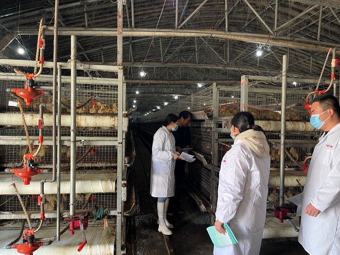 沂南县兽药监管“四个到位” 保障“双节”畜产品质量安全