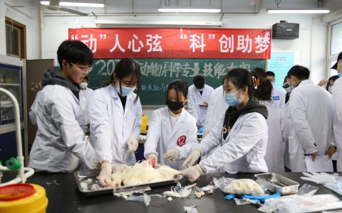 河北农业大学举办动物科学专业技能大赛