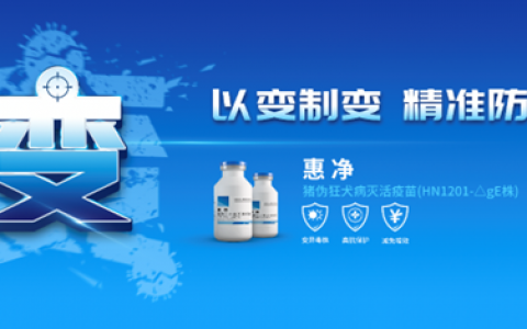 【专访】深度净化猪场伪狂犬，保护率达100%！国内首个基因工程缺失gE基因灭活苗来了！