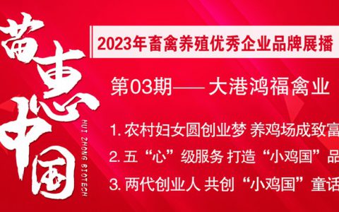 【苗惠中国】两代人的传承：20年只做一件事，让百姓吃上优质放心蛋——访天津市滨海新区大港鸿福禽业