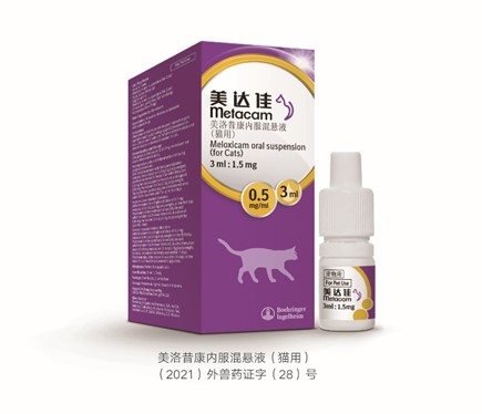 勃林格殷格翰美达佳®猫用口服新剂型在华上市，用药精准便捷，猫咪疼痛与炎症管理再升级