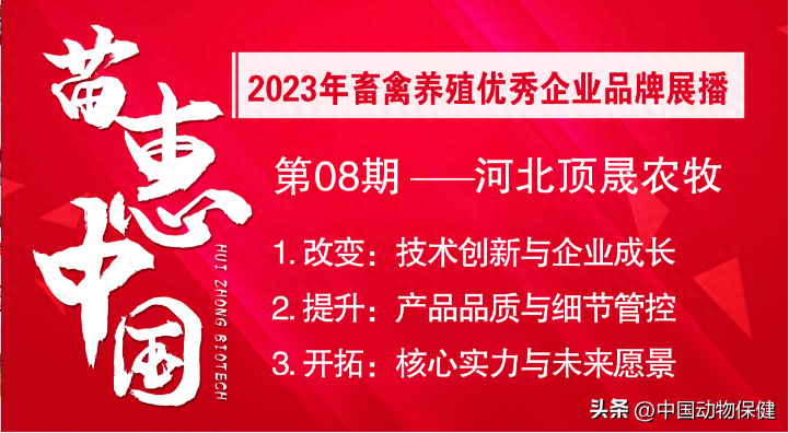 【苗惠中国】从技术创新到市场拓展的跨越式发展之路——访石家庄无极顶晟农牧科技有限公司