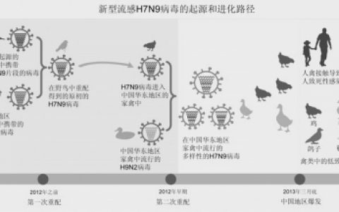 新型H7N9病毒起源和进化路径揭示
