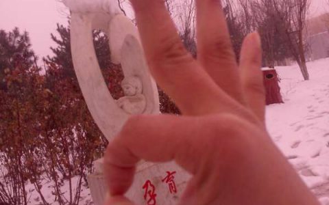 “孕育”梦想