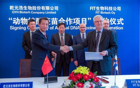 防疫禽流感又添利器  核酸疫苗即将进入中国