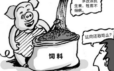 调研报告：中国猪工业饲料中抗生素添加成本最高