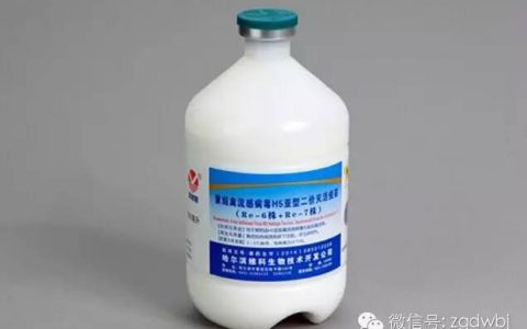 预防禽流感疫苗更新，哈兽研Re-4换Re-7