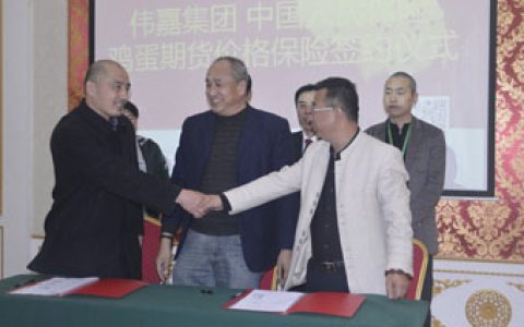 “最具影响力鸡场”北京站 “保险+期货”助蛋亲稳增收