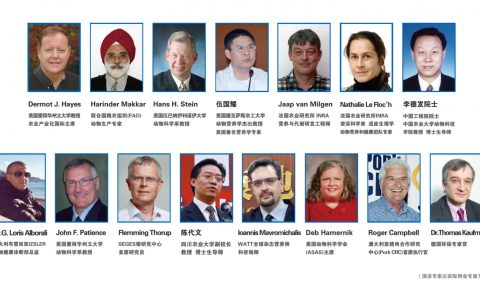 业界大咖聚“魔都”共讨中国猪营养