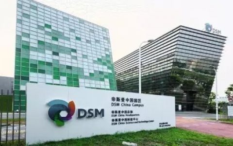 “缤纷科技，美好生活”——帝斯曼倾情赞助李曼大会
