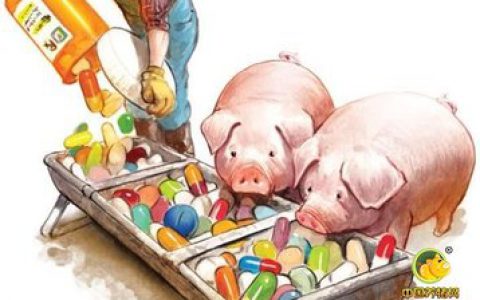 【兽药安全使用小百科】第7期|兽药抗菌药安全性评价内容及相关概念