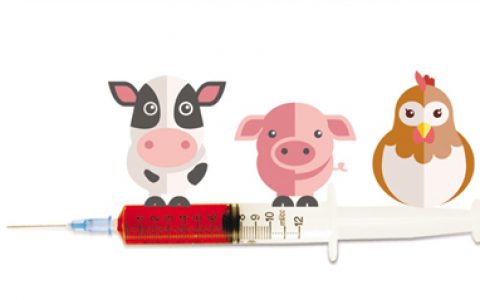 一周兽医要闻纵览—154期（国际版）