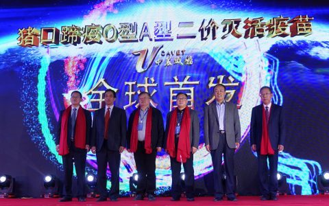 只要11块钱，首个猪口蹄疫O/A苗来啦！