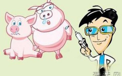 猪价下行怎么破？华威特减疫行动增效益！