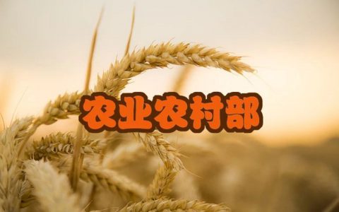 农业农村部将组织开展动物诊疗行业专项整治行动