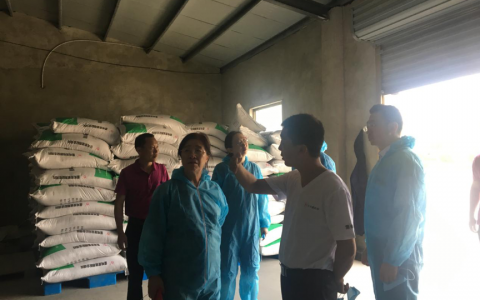 青年鸡示范引领 造福中国蛋鸡业 宫桂芬副秘书长一行莅临大伟嘉宿迁青年鸡示范场参观指导