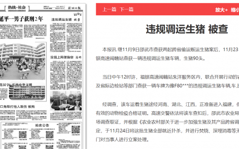 福建邵武：违规调运生猪被查